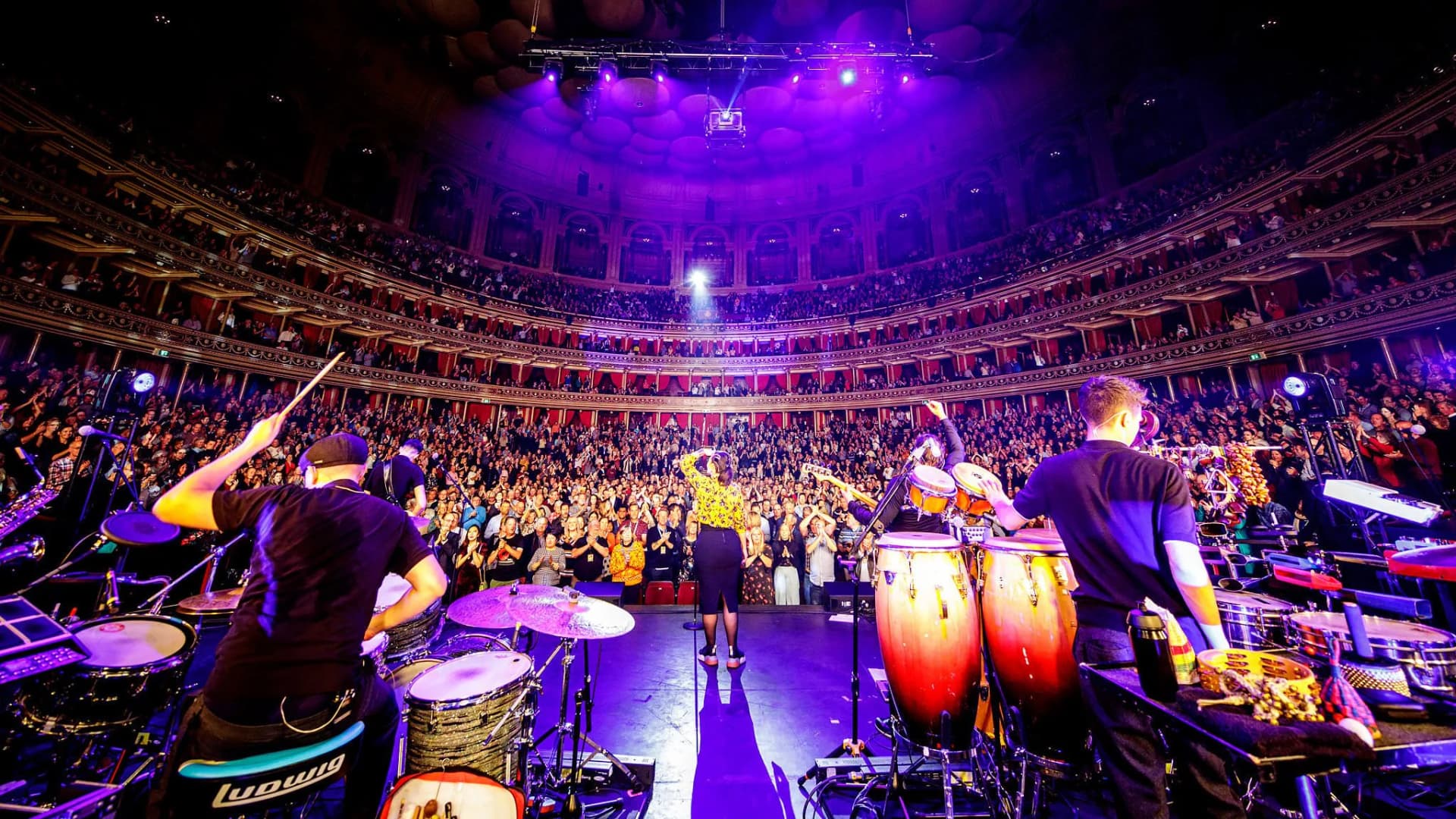 portfolio-concerts46.webp