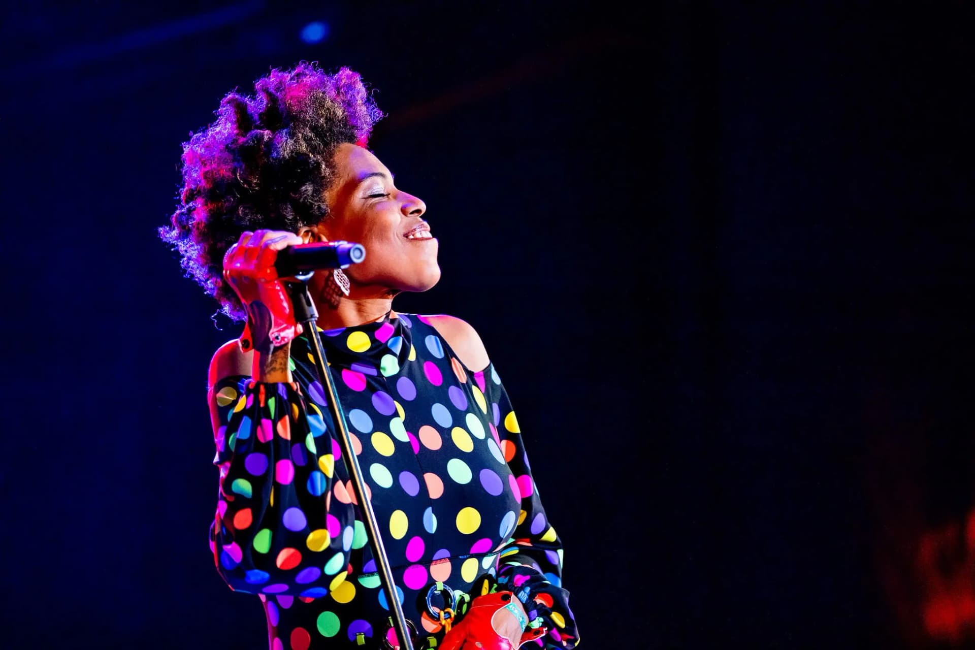 portfolio-concerts53.webp