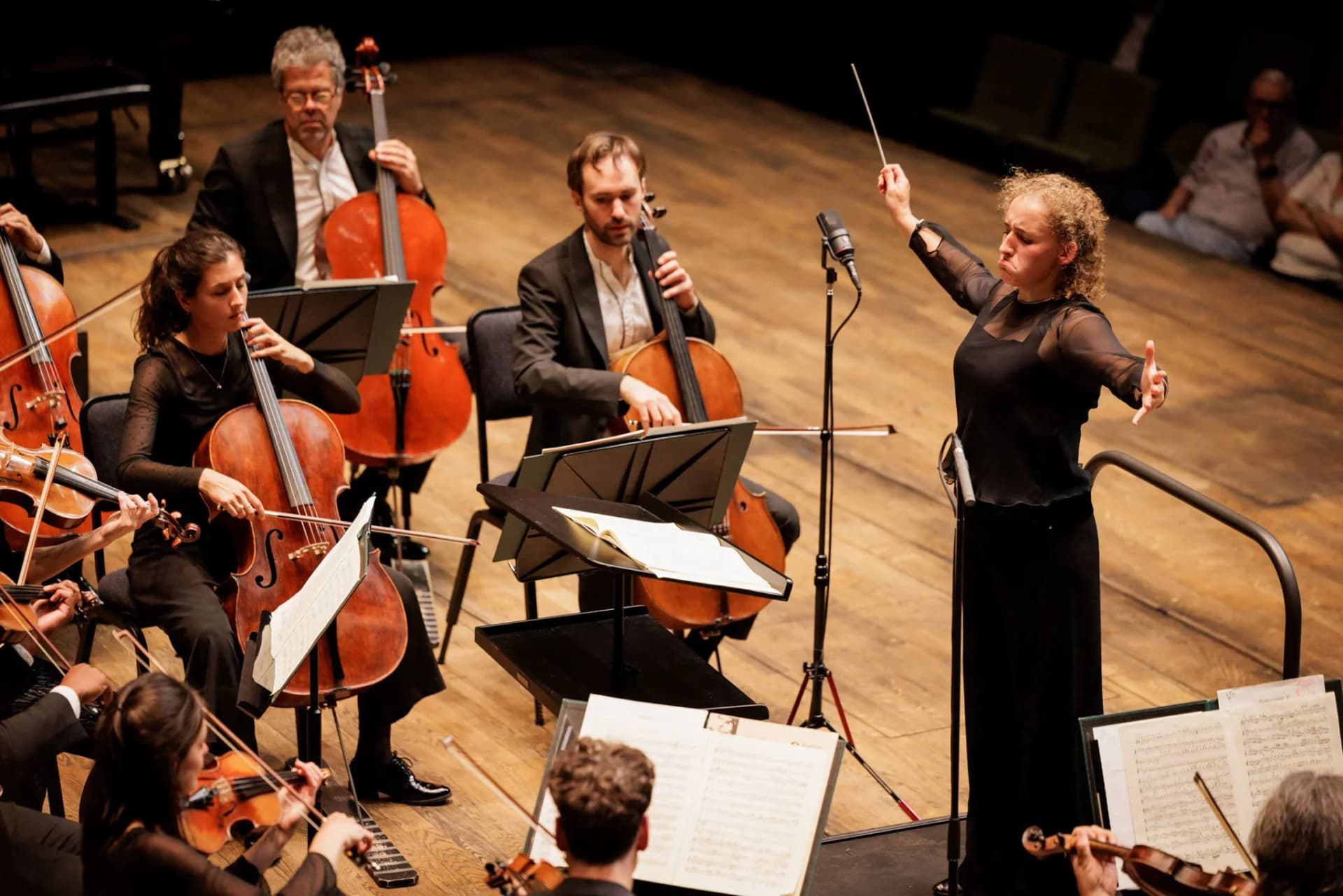 portfolio-concerts75.webp