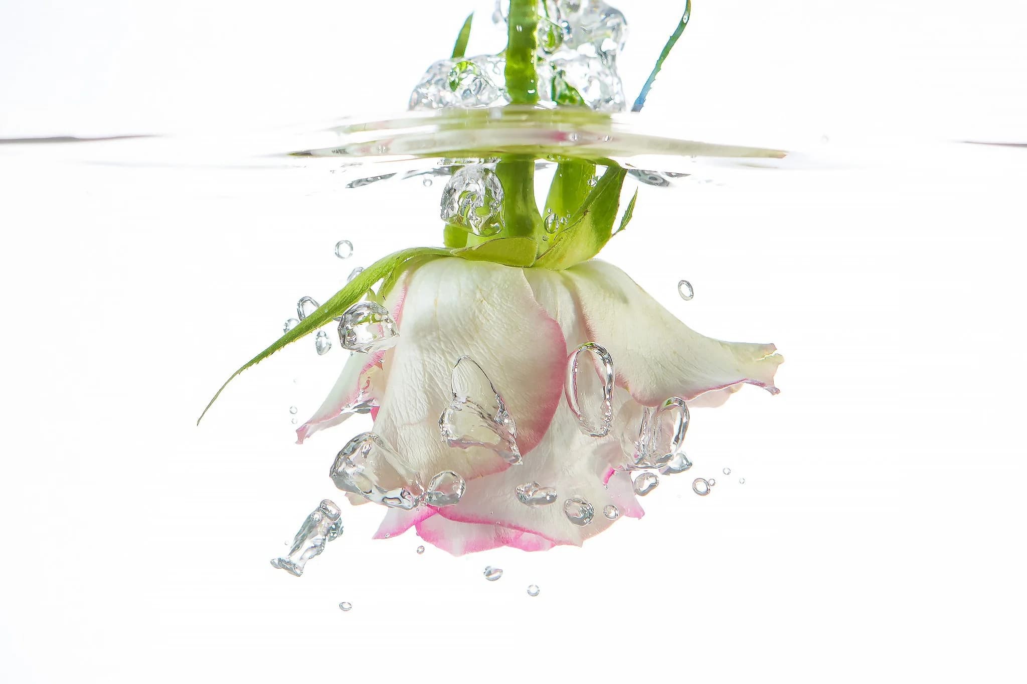 portfolio-misc15.webp