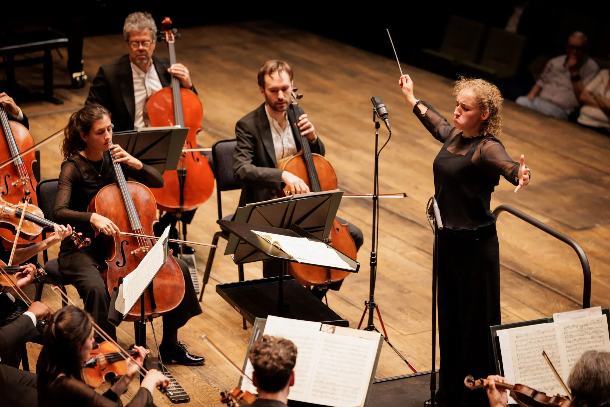 portfolio-concerts75.webp