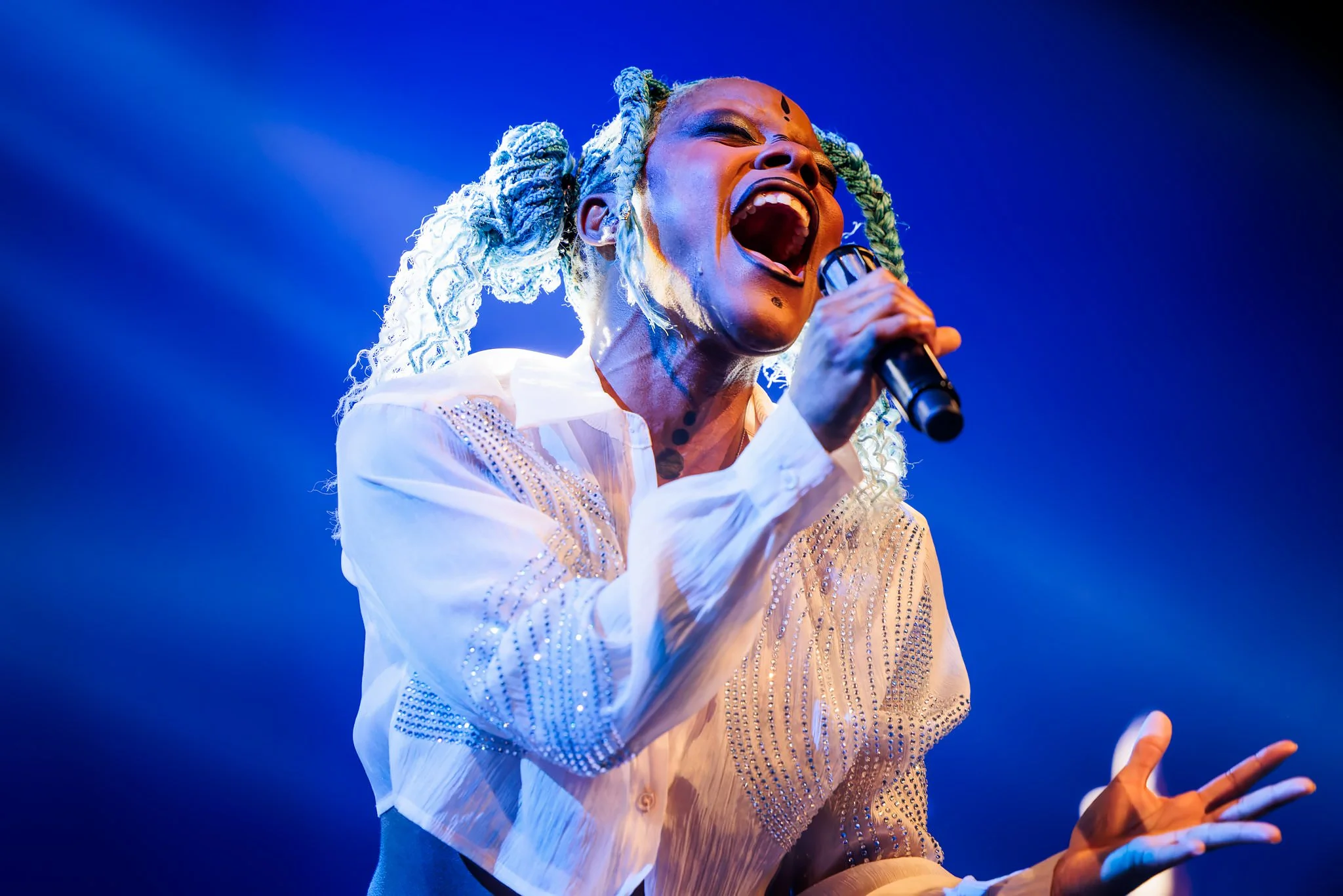 portfolio-concerts8.webp